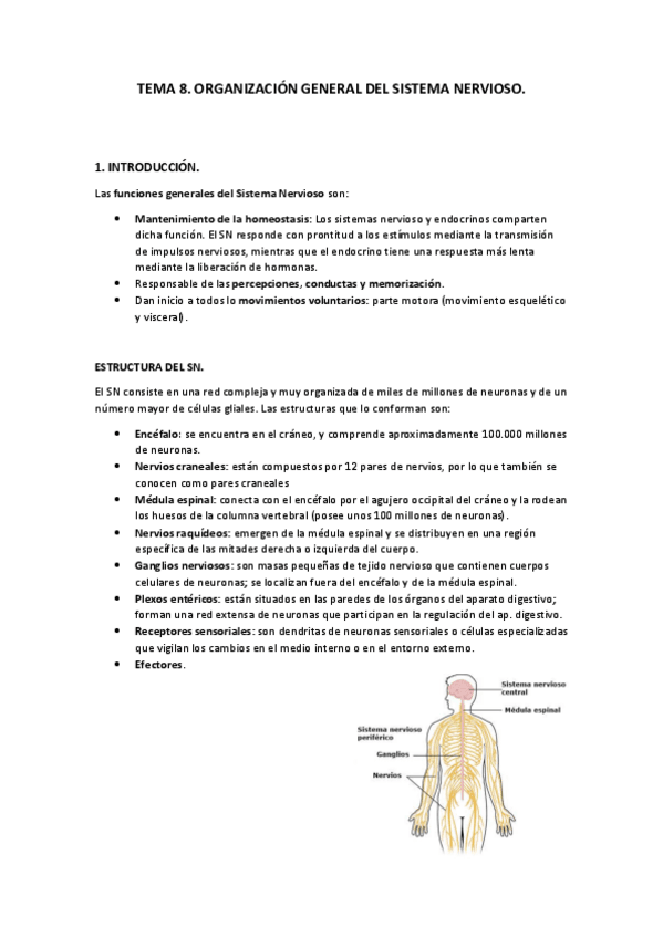 Miniatura del documento Tema 8. Organización general del SN..pdf