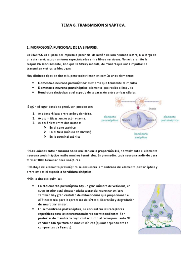 Miniatura del documento Tema 6. Transmisión sináptica..pdf