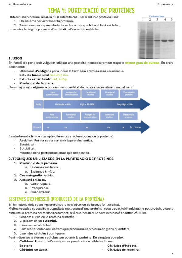 Miniatura del documento T4-Purificacio-de-proteines.pdf