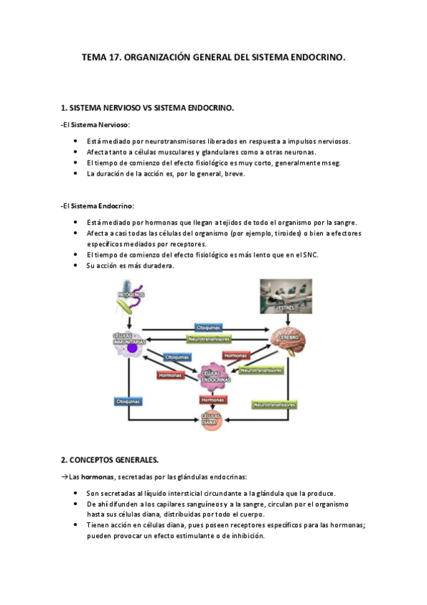 Miniatura del documento Tema 17. Organización general del sistema endocrino..pdf