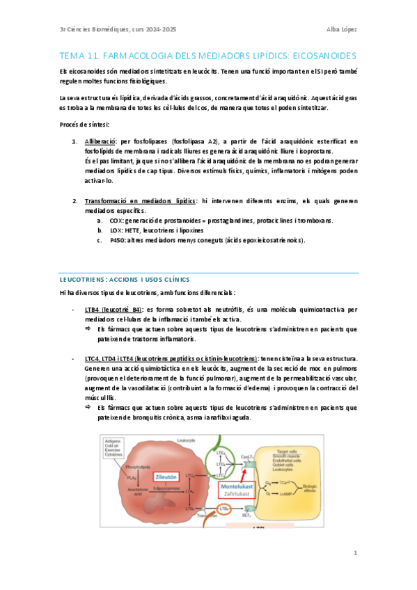 Miniatura del documento Tema-11.-Farmacologia-dels-mediadors-lipidics-eicosanoides.pdf