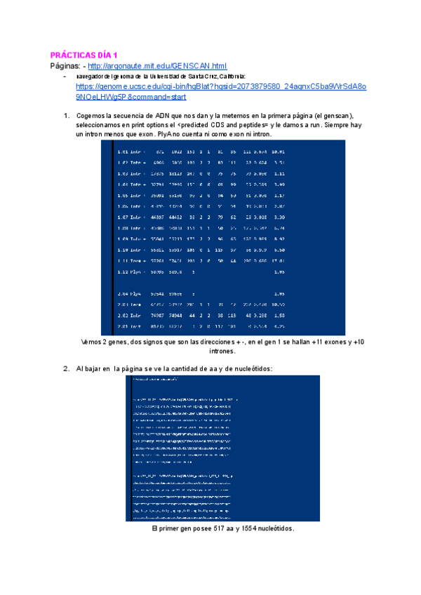 Miniatura del documento MANUAL-EXAMEN-PRACTICO-DE-BASES.pdf