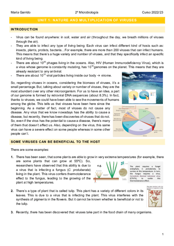 Miniatura del documento Virology-1r-parcial.pdf