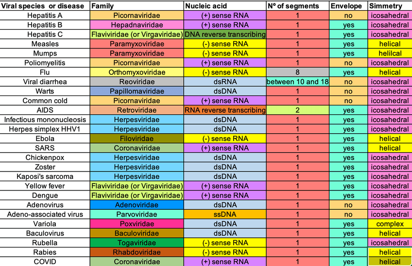 Miniatura del documento Virus-table-U.6-2n-parcial.png