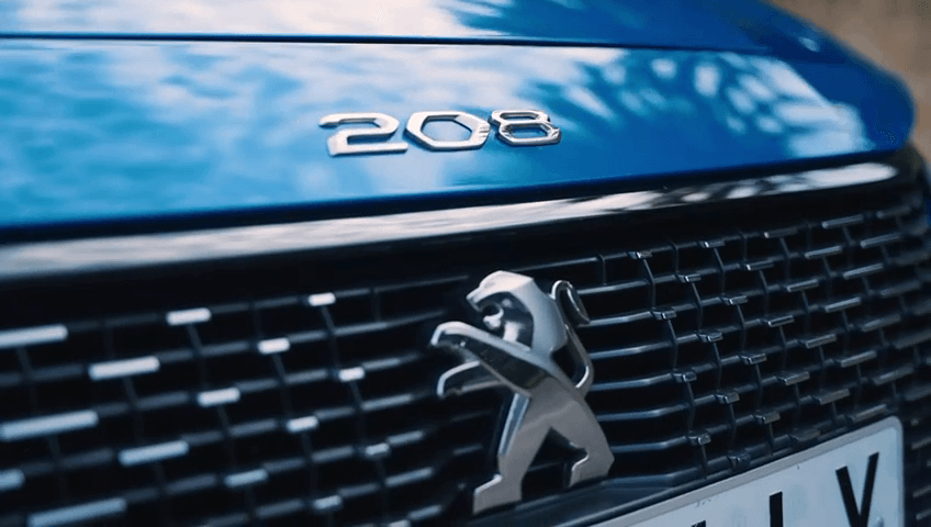 Miniatura del documento WhatsApp-Video-2022-06-06-at-7.21.56-PM.mp4