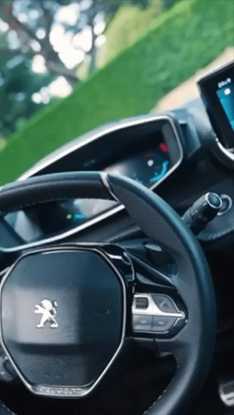 Miniatura del documento WhatsApp-Video-2022-06-07-at-1.12.53-PM.mp4