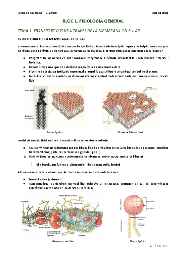 Miniatura del documento 1r-parcial-FCH-I.pdf