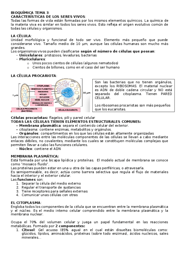 Miniatura del documento bioquimica-tema-3.docx