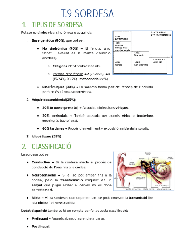 Miniatura del documento T.9-SORDESA.pdf