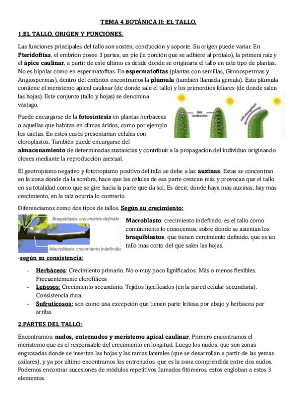 Miniatura del documento TEMA-4-BOTANICA-II-EL-TALLO.pdf