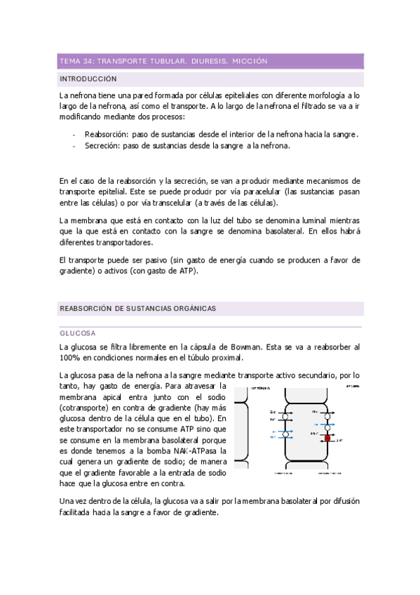Miniatura del documento TEMA-35-transporte-tubular.pdf