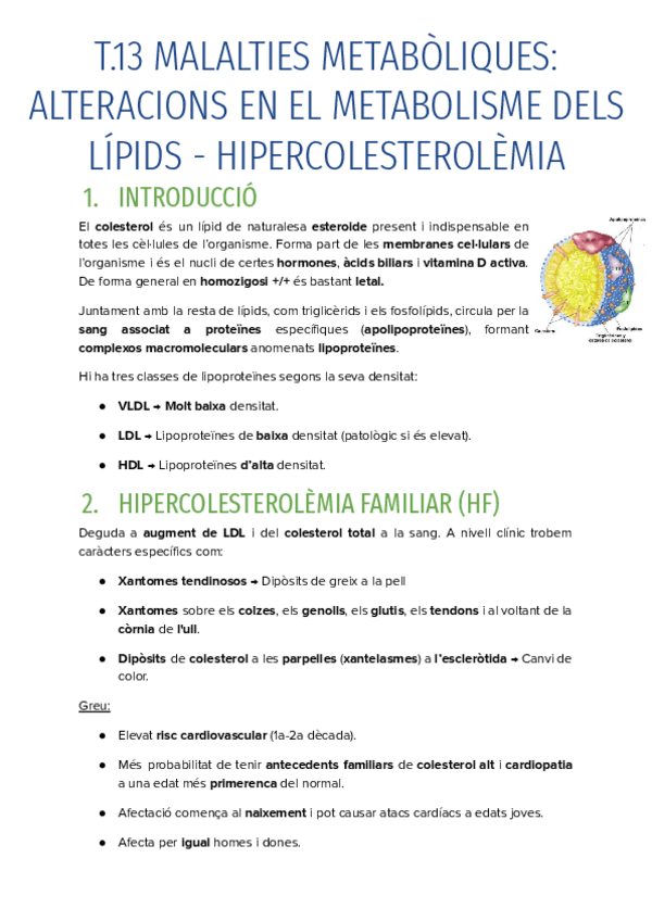 Miniatura del documento T.13-MALALTIES-METABOLIQUES-ALTERACIONS-EN-EL-METABOLISME-DELS-LIPIDS-HIPERCOLESTEROLEMIA.pdf