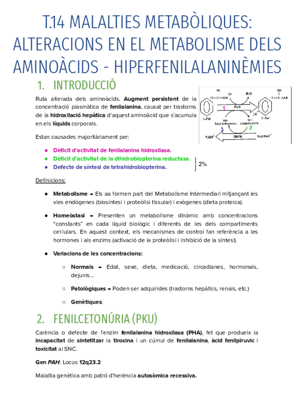Miniatura del documento T.14-MALALTIES-METABOLIQUES-ALTERACIONS-EN-EL-METABOLISME-DELS-AMINOACIDS.pdf