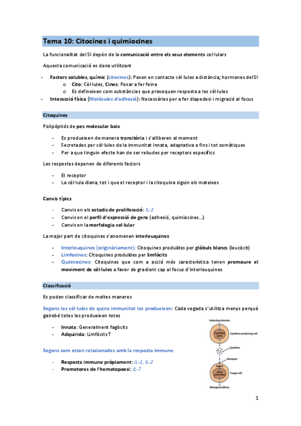 Miniatura del documento T10-IMM.pdf