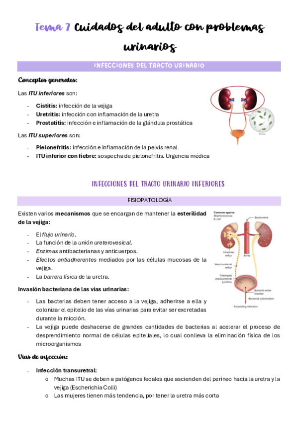 Miniatura del documento Tema-7-Cuidados-del-adulto-con-problemas-urinarios.pdf