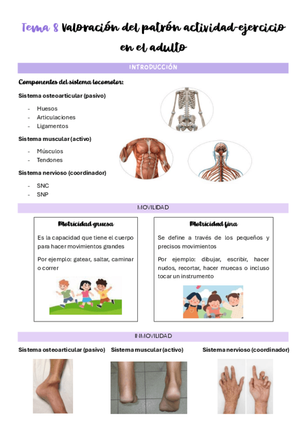 Miniatura del documento Tema-8-Valoracion-del-patron-actividad-ejercicio-en-el-adulto.pdf