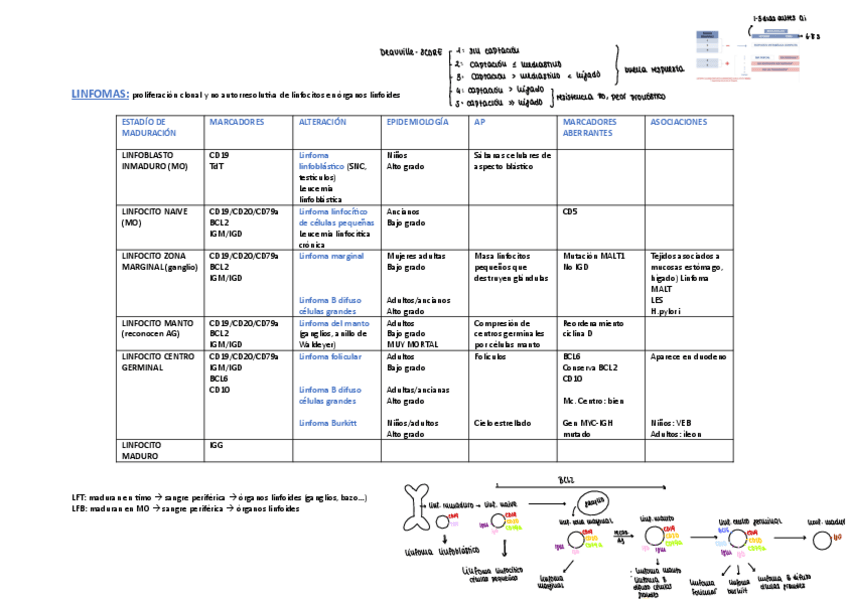 Miniatura del documento TABLA-ESQUEMATICA-DE-LINFOMAS-PARA-EXAMEN.pdf