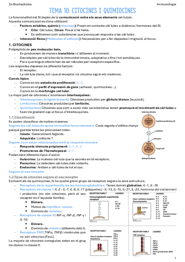 Miniatura del documento T10-Citocines-i-quimiocines.pdf