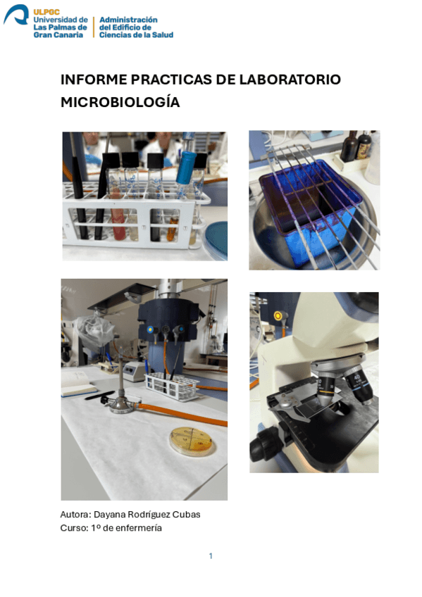 Miniatura del documento Informe-practicas-de-laboratorio.pdf