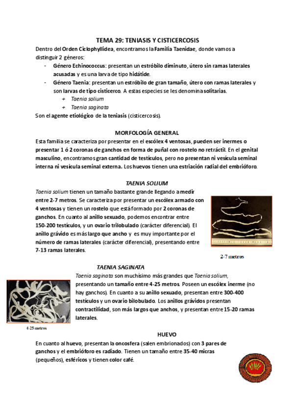 Miniatura del documento TEMA-29-TENIASIS-Y-CISTICERCOSIS.pdf