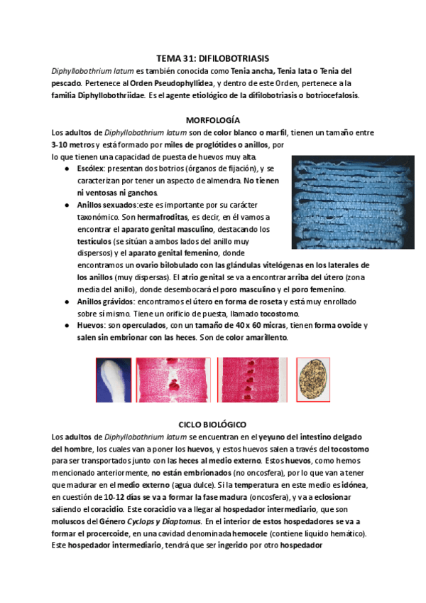 Miniatura del documento TEMA-31-DIFILOBOTRIASIS.pdf