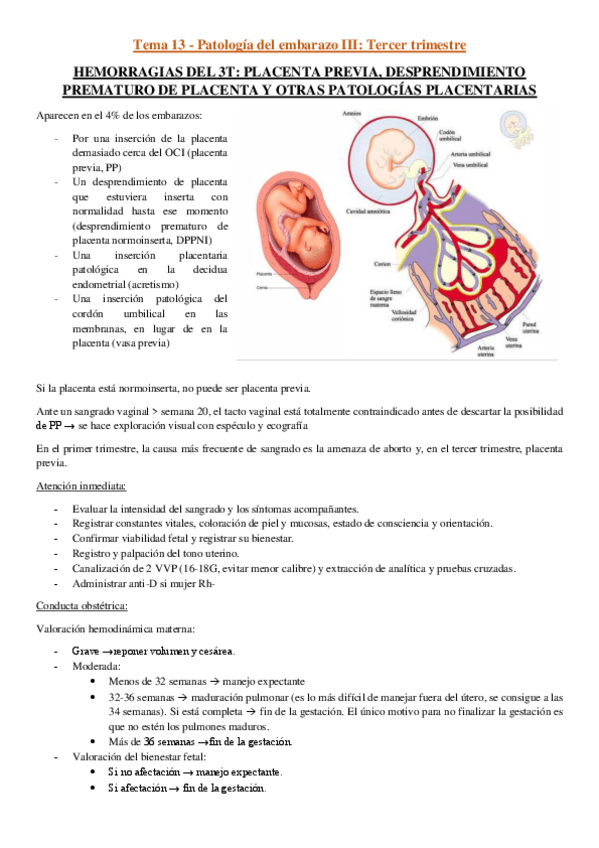 Miniatura del documento Tema-13.pdf