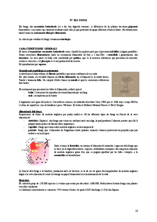 Miniatura del documento U7-botanica.pdf