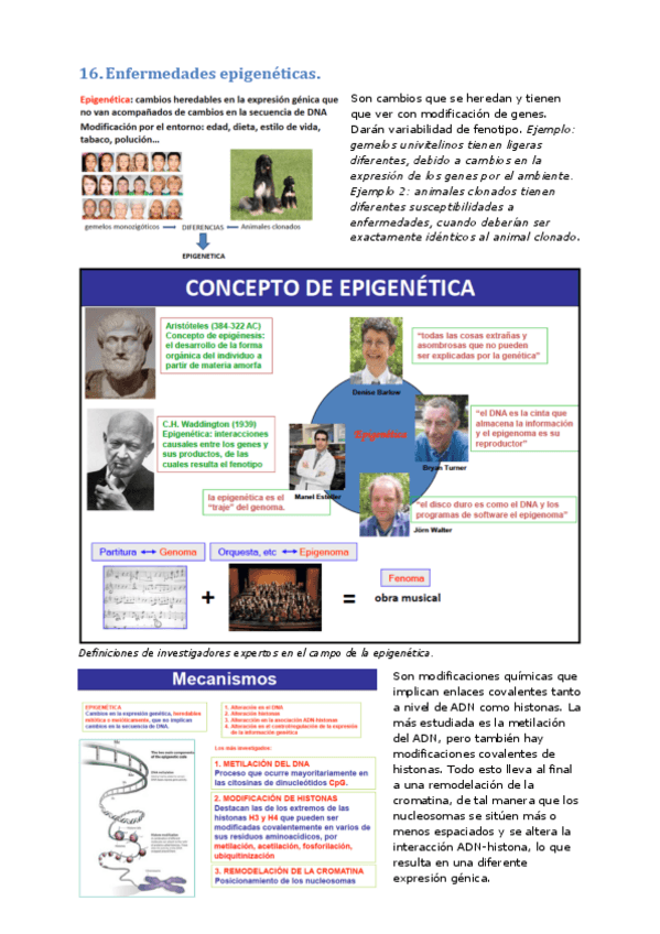Miniatura del documento 16. Enfermedades epigenéticas.pdf