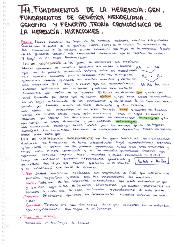 Miniatura del documento BIOLOGIA-pages-41-44-47-49,51-53,55-81,83-85,87-91,93-99,113-115,117,119-120.pdf