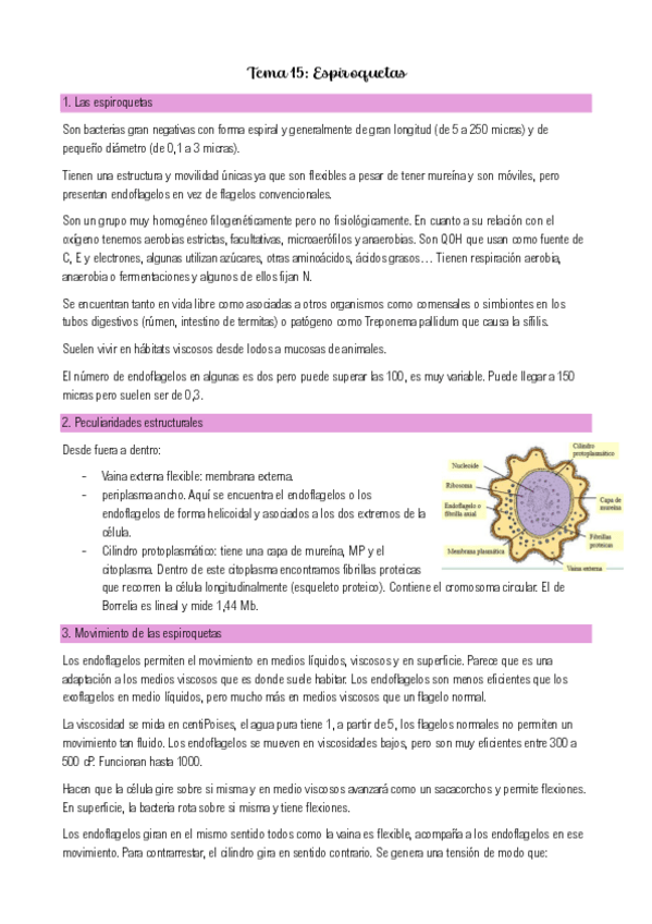 Miniatura del documento Tema-15-Microbiologia-II.pdf