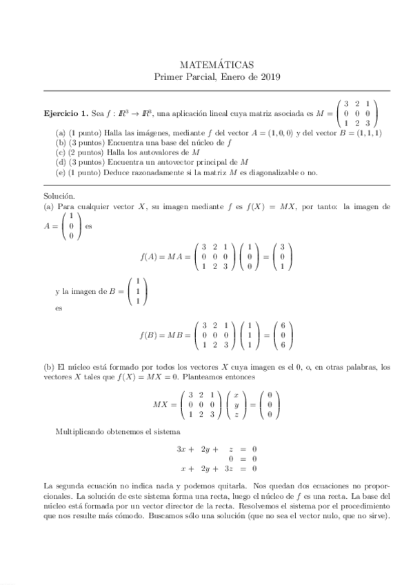 Miniatura del documento 1o-PARCIAL-2019-RESUELTO.pdf