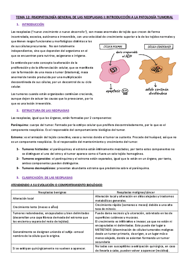Miniatura del documento Unidad-12-FISIOPATOLOGIA-GENERAL-DE-LAS-NEOPLASIAS-I-INTRODUCCION-A-LA-PATOLOGIA-TUMORAL..pdf