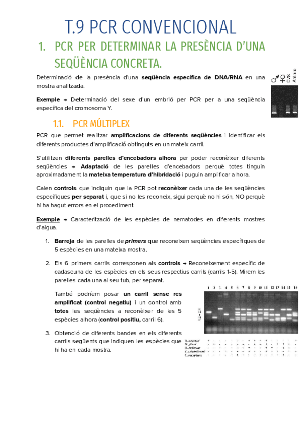 Miniatura del documento T.9-PCR-CONVENCIONAL.pdf