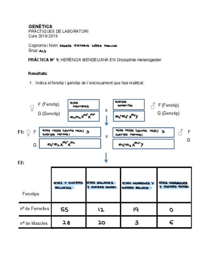 Miniatura del documento Memoria laboratorio.pdf