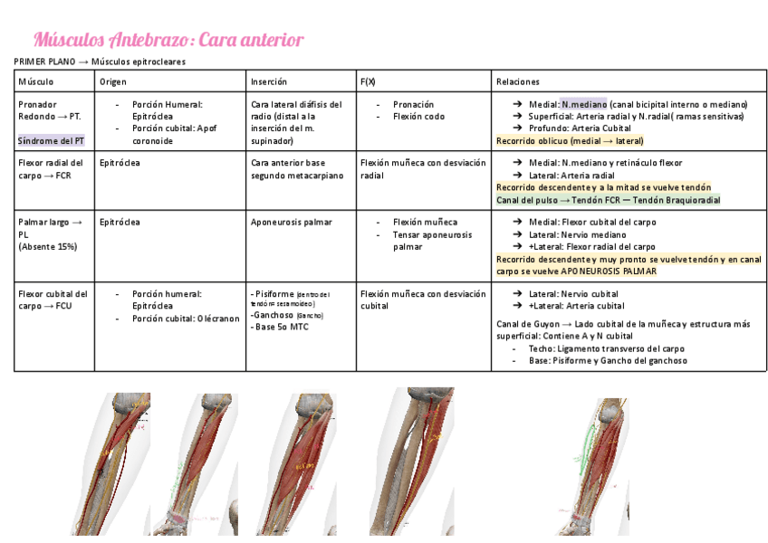 Miniatura del documento TABLA-ANTEBRAZO.pdf