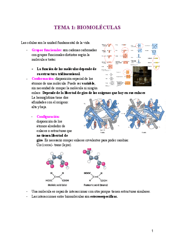 Miniatura del documento BIOQUIMICA-ENTERO.pdf