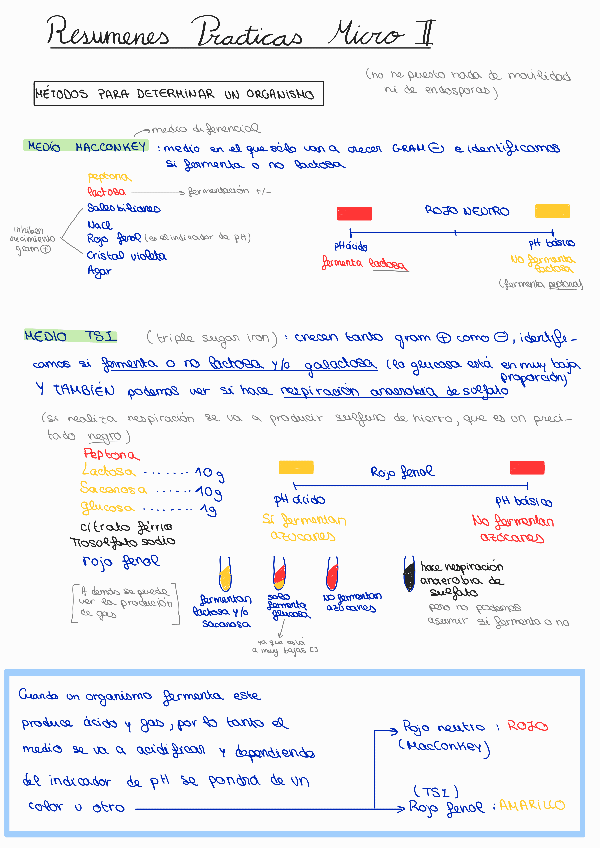 Miniatura del documento Resumencito-practicas.pdf