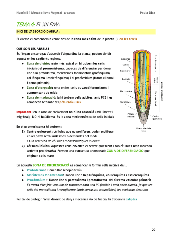 Miniatura del documento NMV-1r-parcial-tema-4.pdf