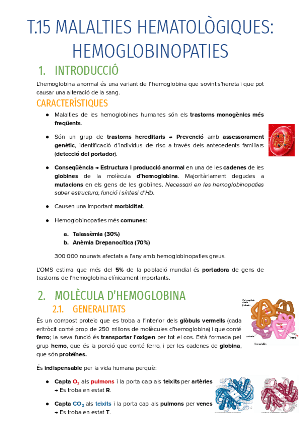 Miniatura del documento T.15-MALALTIES-HEMATOLOGIQUES-HEMOGLOBINOPATIES.pdf