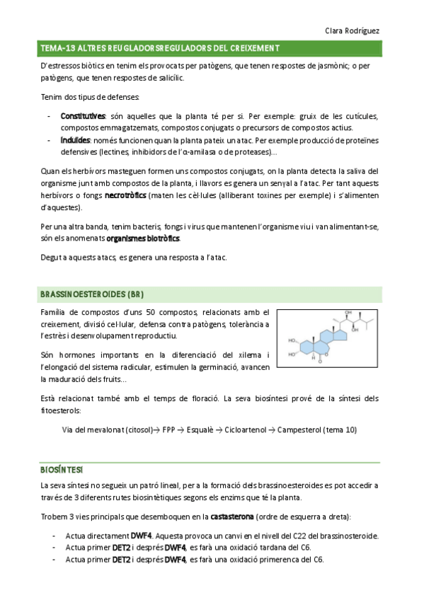 Miniatura del documento tema-13-14.pdf