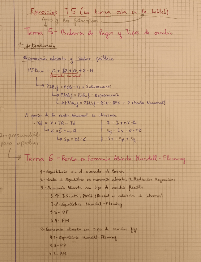 Miniatura del documento Tema-6-Macro-abierta.pdf