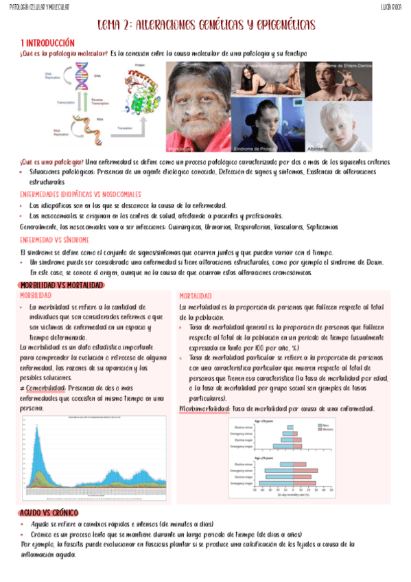 Miniatura del documento tema-2-pato.pdf