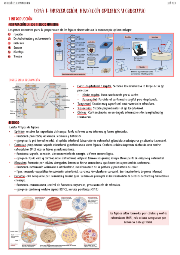Miniatura del documento tema-1-pato.pdf
