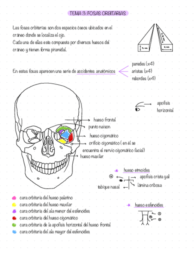 Miniatura del documento tema-3-fosas-orbitarias.pdf