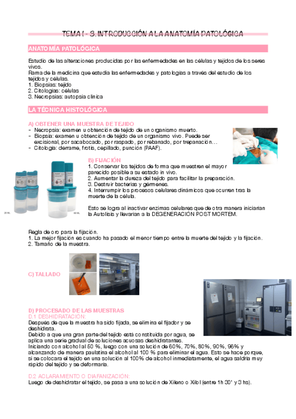 Miniatura del documento Tema-1-3.pdf