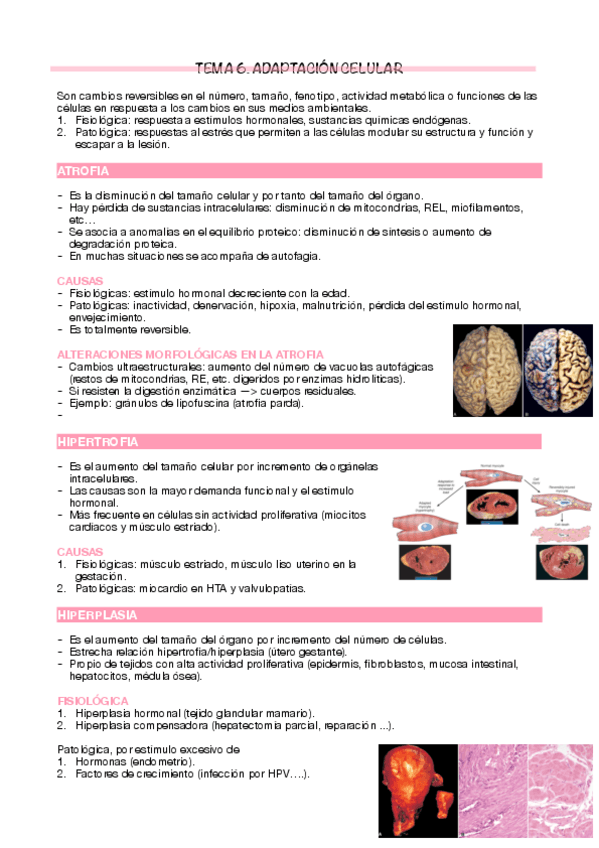 Miniatura del documento Tema-6.pdf