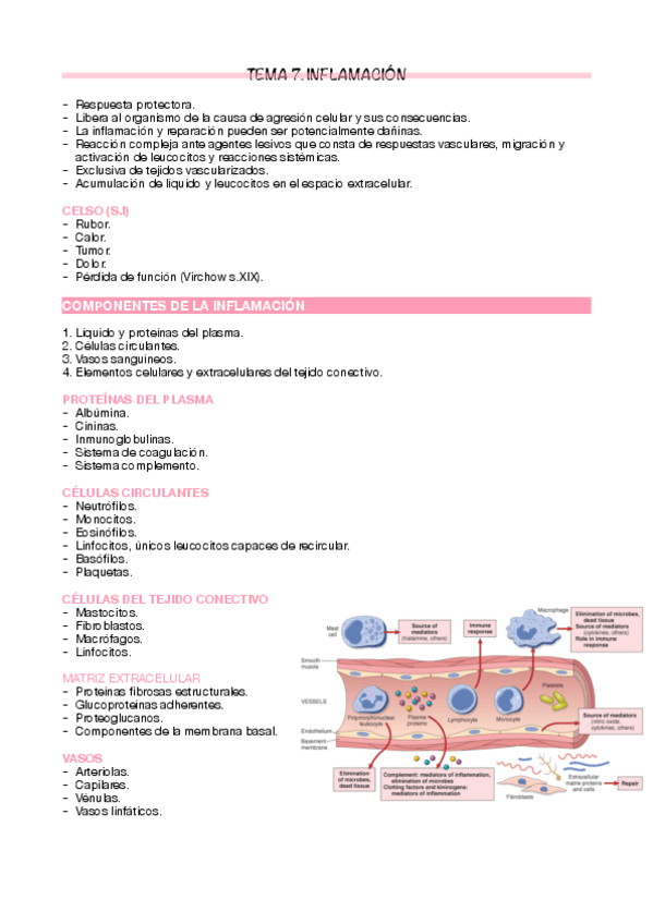 Miniatura del documento Tema-7.pdf