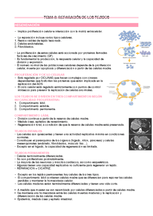 Miniatura del documento Tema-8.pdf