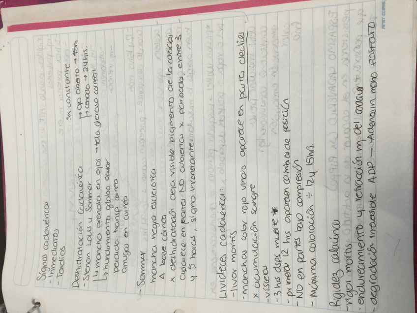 Miniatura del documento 05DD4117-FD2F-4CA4-A209-4A757D4EE85B.jpeg