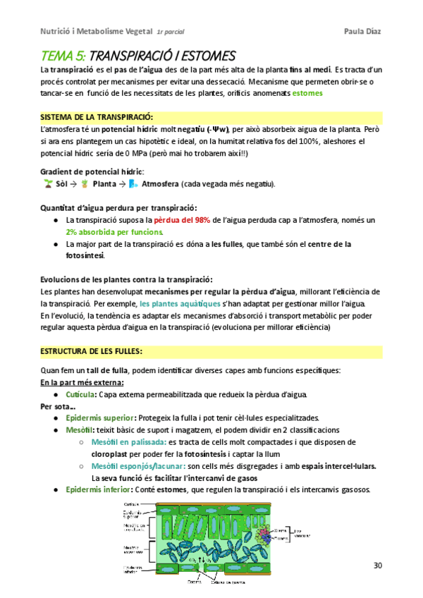 Miniatura del documento NMV-1r-parcial-tema-5.pdf